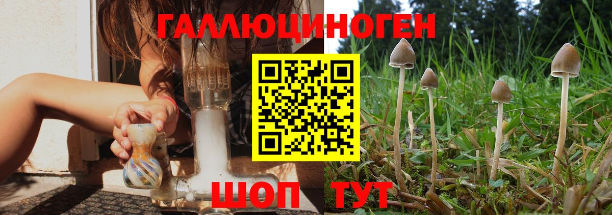 купить наркотики цена  Вход с VPN  Северодвинск  Псилоцибиновые грибы Cubensis 